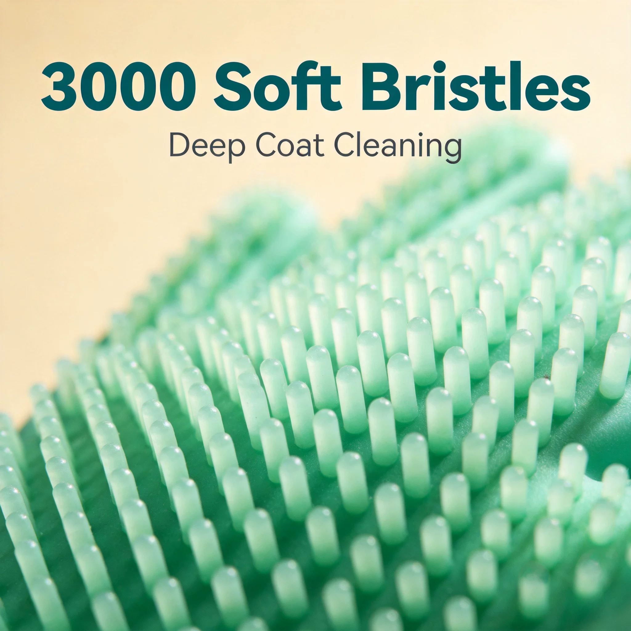02 detail 3000 soft bristles